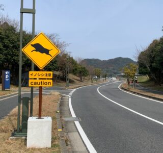 イノシシ注意看板